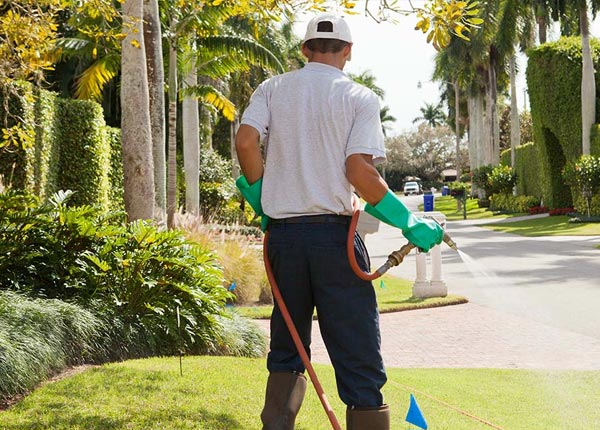 About Hailesboro NY Pest Control